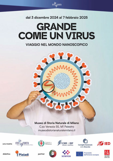La mostra grande come un virus